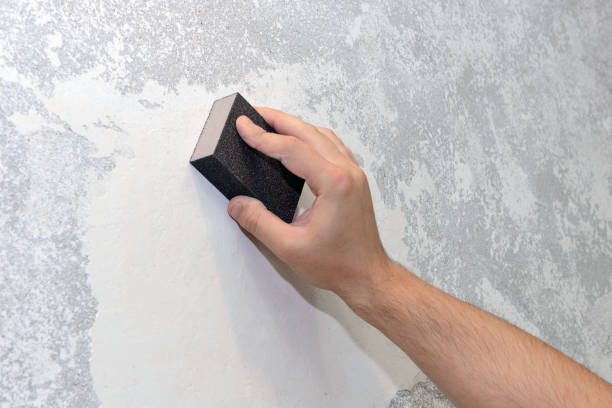 Best Mold Prevention Services  in Silver Firs, WA