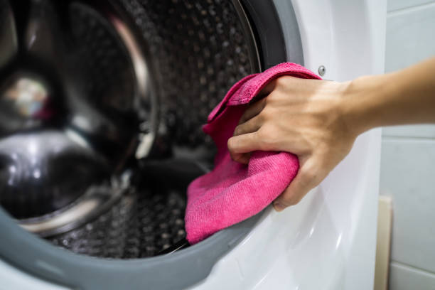 Best HVAC Mold Inspection and Cleaning  in Silver Firs, WA