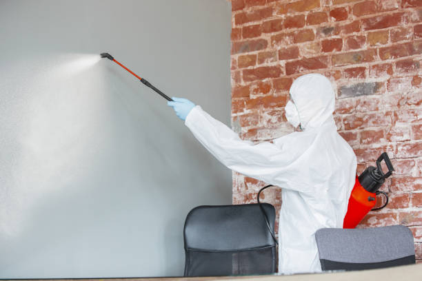 Best Mold Odor Removal Services  in Silver Firs, WA