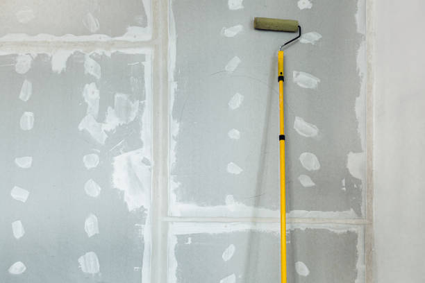 Asbestos and Lead Testing During Mold Inspection in Silver Firs, WA