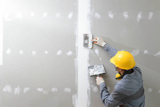 Best Comprehensive Air Testing for Mold Contaminants  in Silver Firs, WA