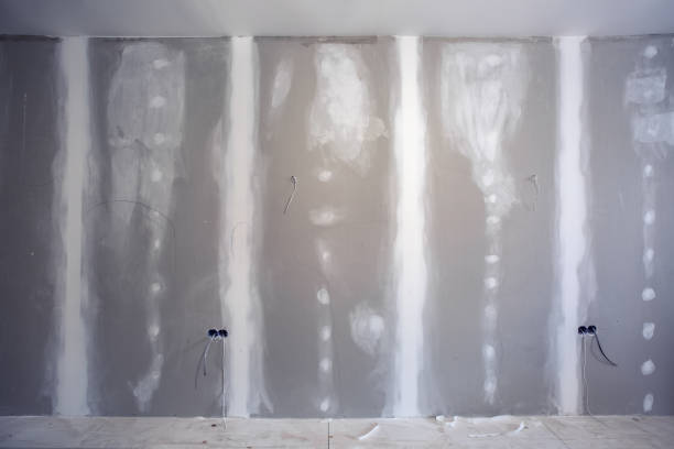 Best Basement Mold Removal  in Silver Firs, WA